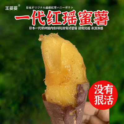 推荐烤~正宗一代日本红瑶蜜薯