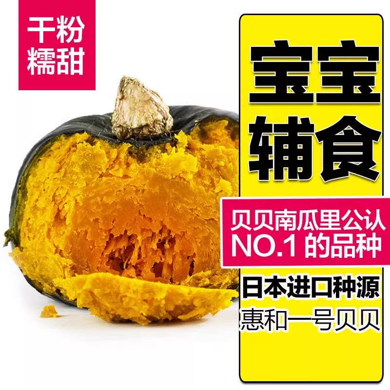 现货~内蒙古正宗惠和一号真贝贝小南瓜新鲜板栗味软糯香甜5斤宝宝