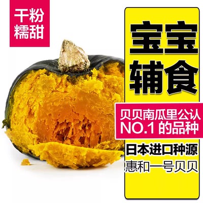 新瓜现货~缅甸正宗惠和一号真贝贝小南瓜新鲜板栗味软糯香甜宝宝