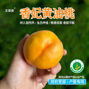 【8月见】~王妥妥®山东黄桃油桃 应季新鲜水果整箱 风味足自然熟