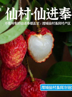 【结束/等明年】王妥妥®广东增城仙进奉荔枝新鲜现摘现发