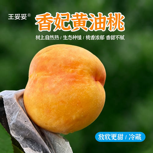 【结束/等明年8月见】王妥妥®山东黄桃油桃当季应季新鲜水果整箱