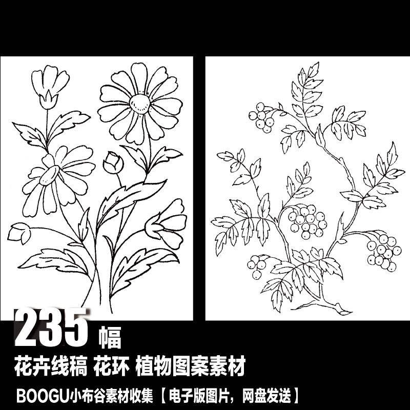 白描线稿 花卉植物素材 植物图案 平面设计 电子图片 装饰画图库图片