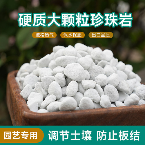 硬质珍珠岩大颗粒膨胀蛭石养花用多肉育苗兰花专用植料园艺