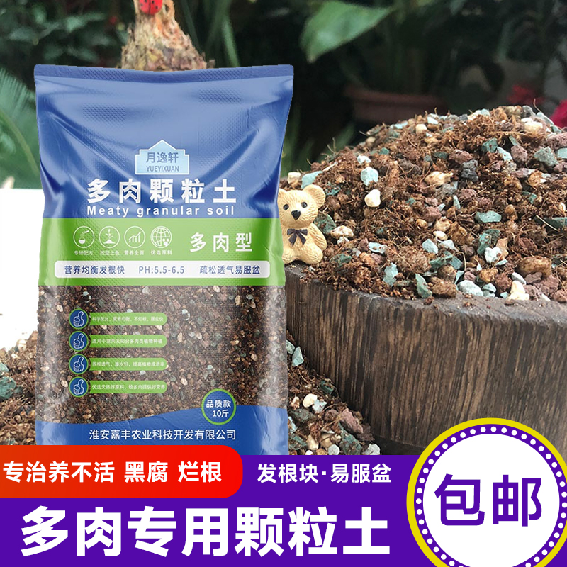 园艺多肉颗粒土铺面垫底专用颗粒70%颗粒法师多肉通用土