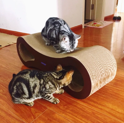 得酷大号猫抓板耐磨猫窝瓦楞纸8字猫床磨爪板多功能双层猫用沙发,宠物/宠物食品及用品,猫抓板,淘宝优惠券,粉丝福利购,淘宝优惠卷