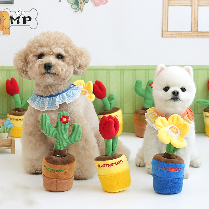parisdog花朵仙人掌藏食发声玩具