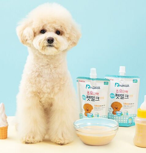 human初乳蛋白强关节护眼睛牛奶