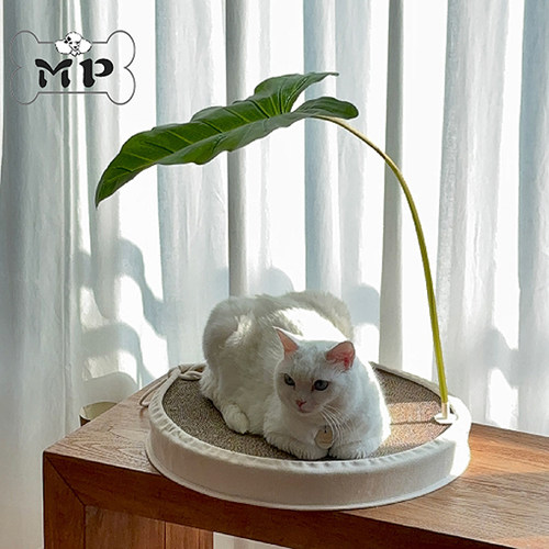韩代滴水观音叶玩具猫抓板套装
