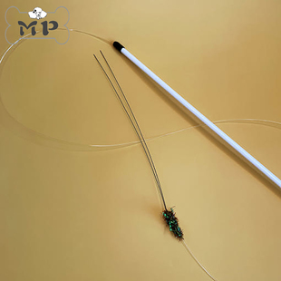 『Memory Pet』韩国代购宠物猫咪逼真长触角闪光虫子逗猫棒玩具