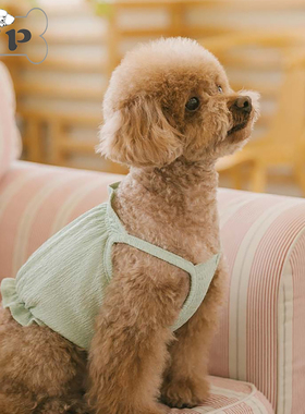 S码现货~韩国进口scamper夏季宠物弹性褶皱荷叶边薄荷色短款吊带