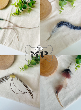 『Memory Pet』韩国代购宠物梦幻虫长尾燕旋转鹰逗猫棒替换头玩具