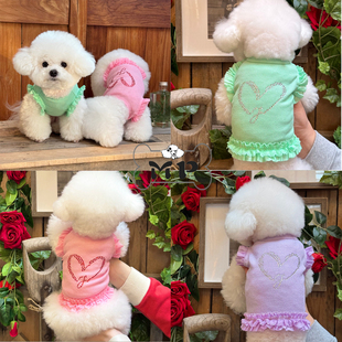 jellaco宠物烫钻爱心荷叶袖 韩国代购 Pet 亮色弹性T恤 Memory