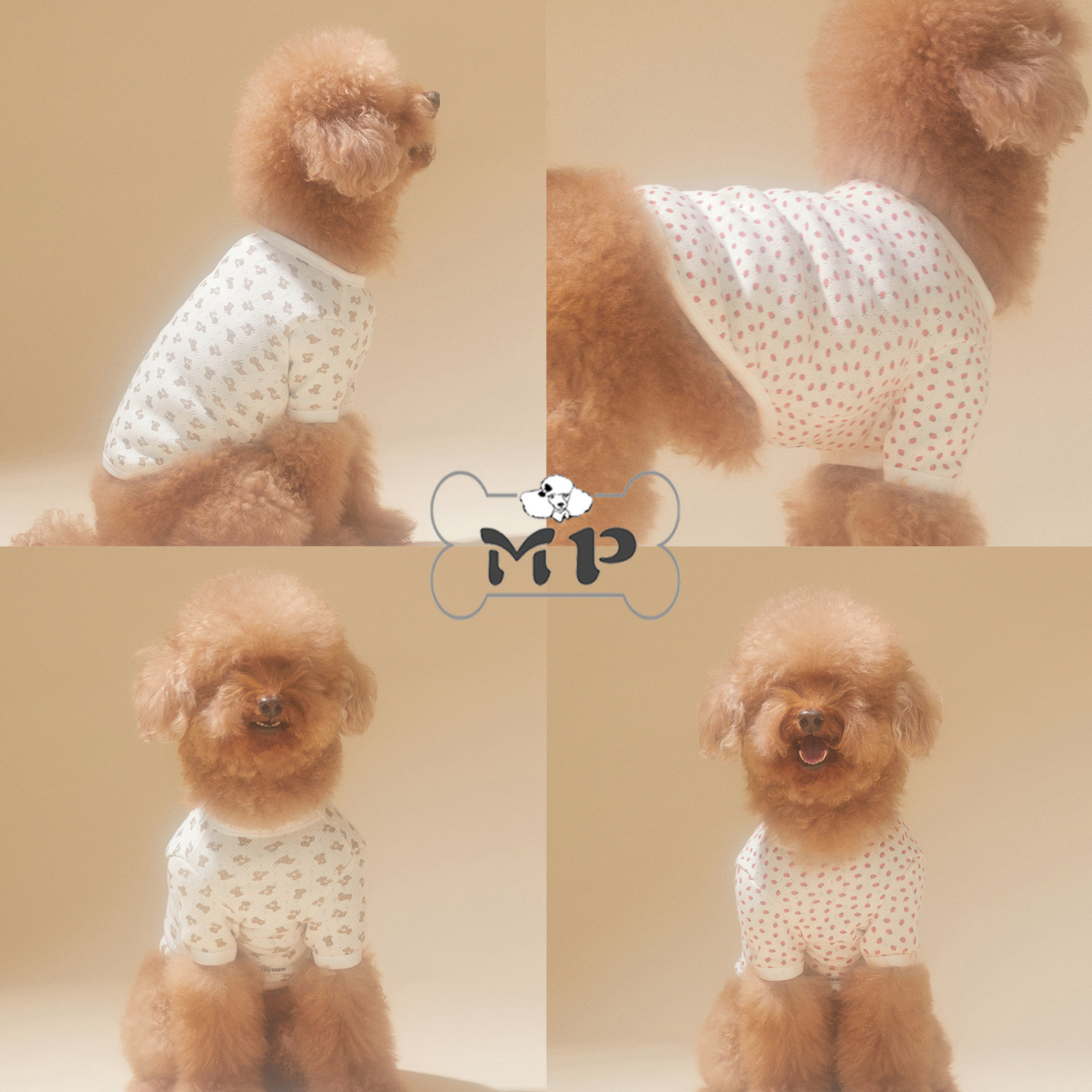 韩代宠物春可爱小熊草莓弹性T恤