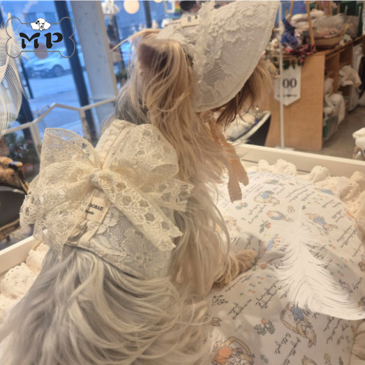 『Memory Pet』韩国punidorea宠物蕾丝蝴蝶结胸背头巾围巾帽子