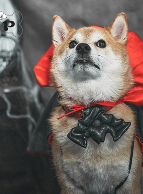 『Memory Pet』韩国代购hikoinu宠物万圣节黑色蝙蝠项圈装饰配件