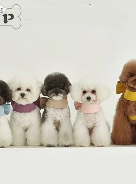 『Memory Pet』韩国pat the dog宠物四季大蝴蝶结纯色胸背牵引绳
