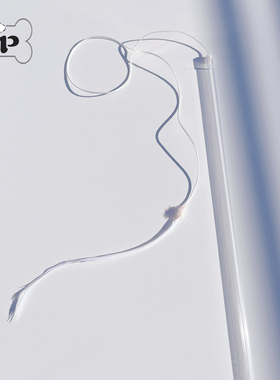 『Memory Pet』韩国代购宠物猫咪白色绳子羽毛长尾巴逗猫棒玩具