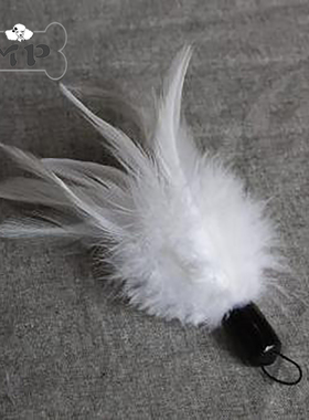 现货~韩国进口宠物猫咪白色天然柔软羽毛逗猫棒替换头玩具