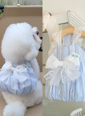 『Memory Pet』韩国eomuk宠物蕾丝蝴蝶结条纹蓝色连衣裙灯笼裙