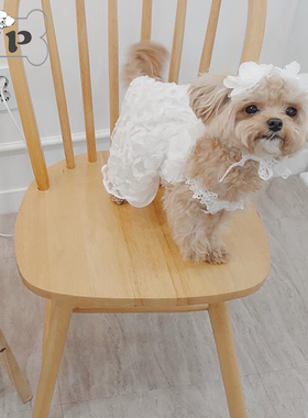 『Memory Pet』韩国comely宠物派对白色蕾丝花朵发带连衣裙礼服