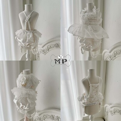 韩代宠物蕾丝荷叶边绸面内搭短裤