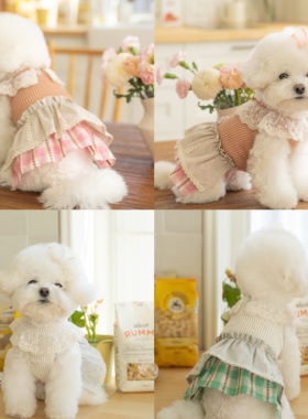 『Memory Pet』韩国代购宠物春秋针织拼接格纹田园蕾丝连衣裙发夹