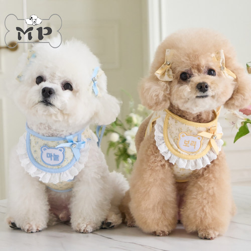 『Memory Pet』韩国petsandme宠物定制名字蝴蝶结胸背牵引绳发夹