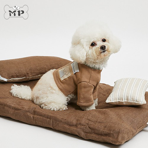 韩代宠物英伦风露脐阔腿纯棉T恤