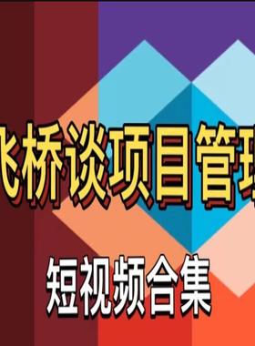 PM1-飞桥de项目管理拼图