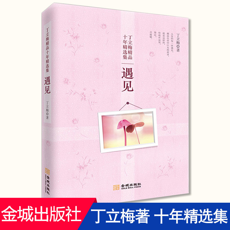 正版现货  遇见 丁立梅精品十年精选集   生活中的小事折射出人生的