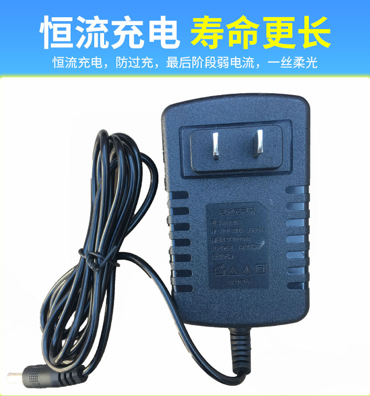 儿童玩具车电动汽车摩托车充电器6v500ma12v1000ma24v1A童车配件