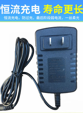 儿童玩具车电动汽车摩托车充电器6v500ma12v1000ma24v1A童车配件