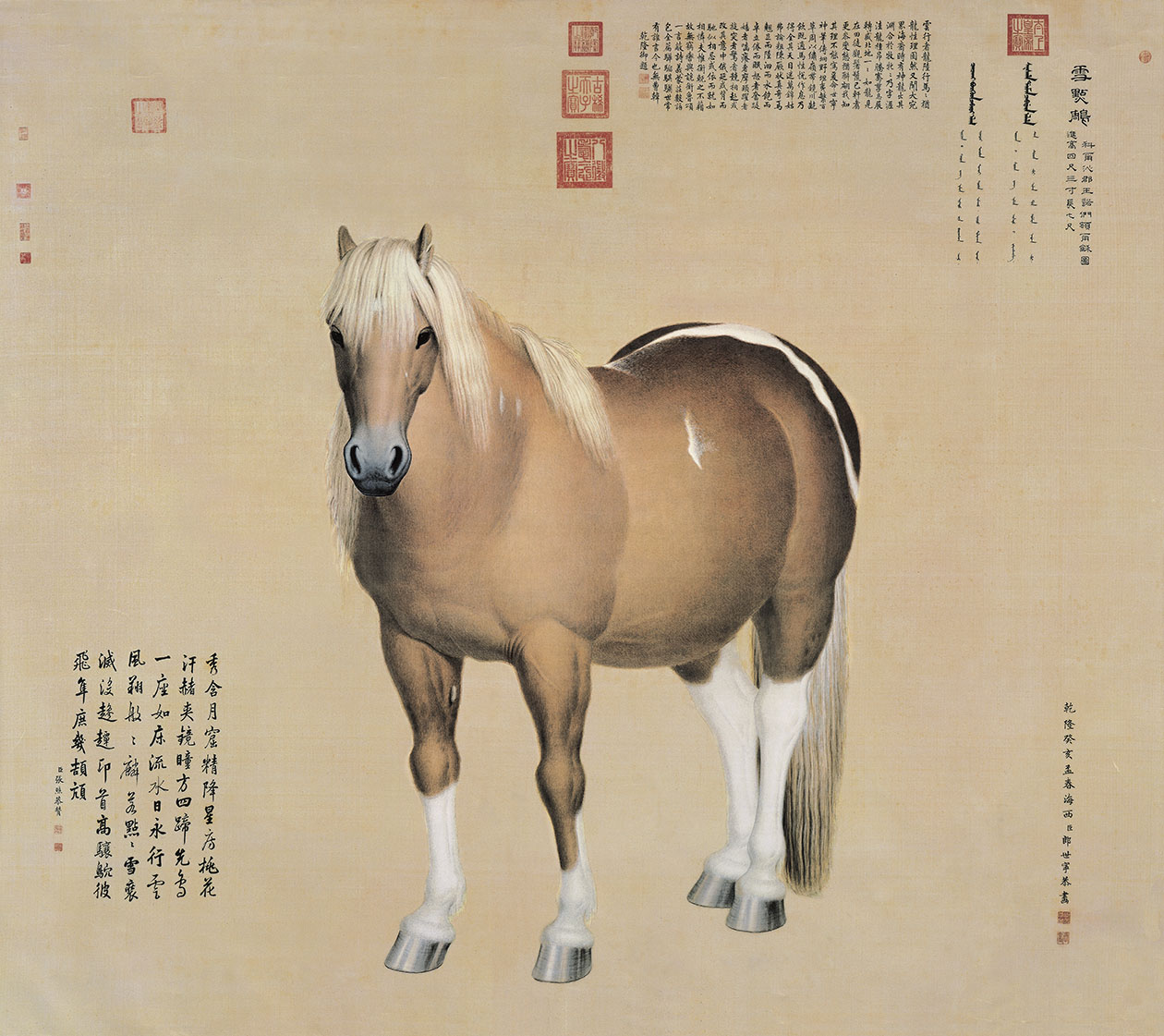 高清骏马图郎世宁雪点雕画像jpg格式tif打印喷绘写真名画图片素材