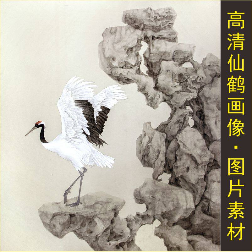 高清仙鹤画像花鸟国画动物白鹤装饰画电子版jpg格式tif图片素材