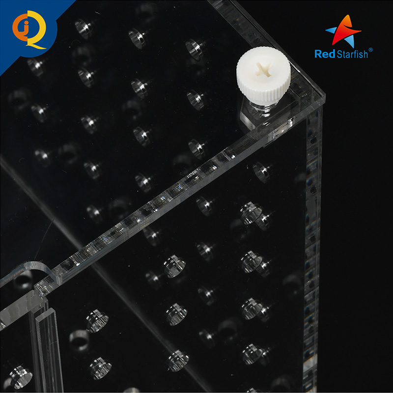 红海星鱼缸隔离盒内置置物盒防打架亚克力训食盒淡海水通用孵化盒