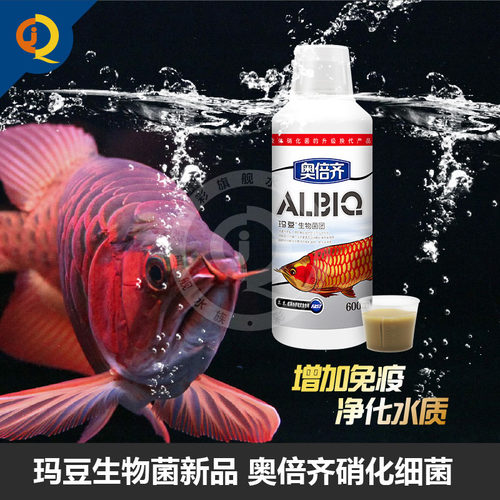 玛豆奥倍齐硝化细菌生物菌团