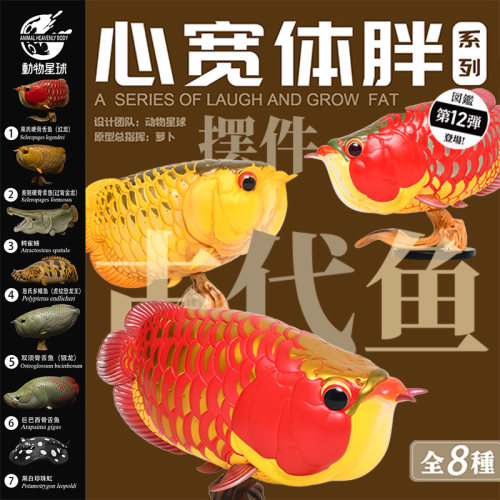 动物星球龙鱼手办模型