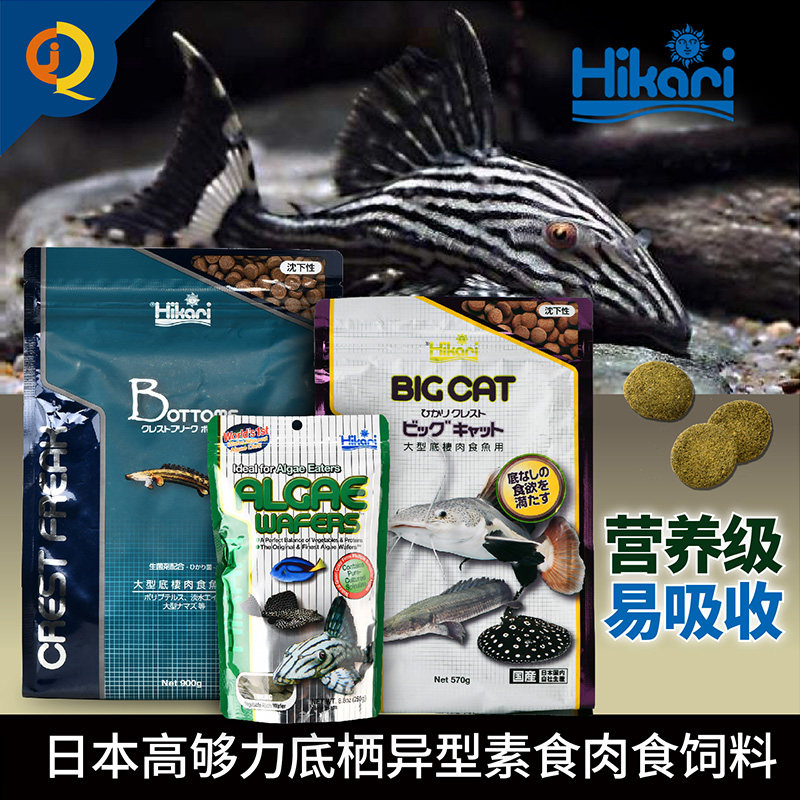 日本高够力异形鱼饲料底栖异型鱼粮素食大饼皇冠豹清道夫胡子鱼食