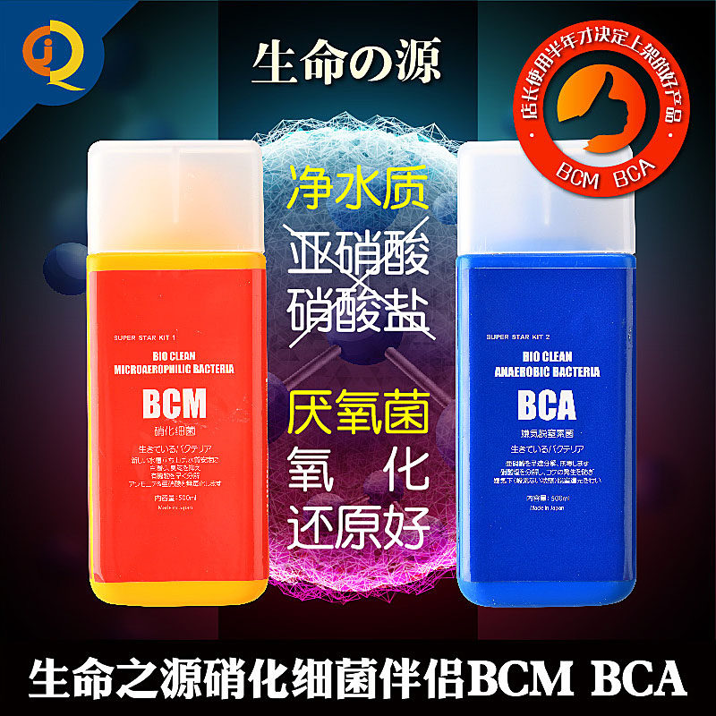 日本BCM/BCA硝化细菌生命之源好氧菌伴侣厌氧菌除NO3净水质红蓝瓶