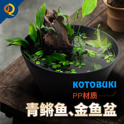KOTOBUKI金鱼鱼盆室内造景PP材质