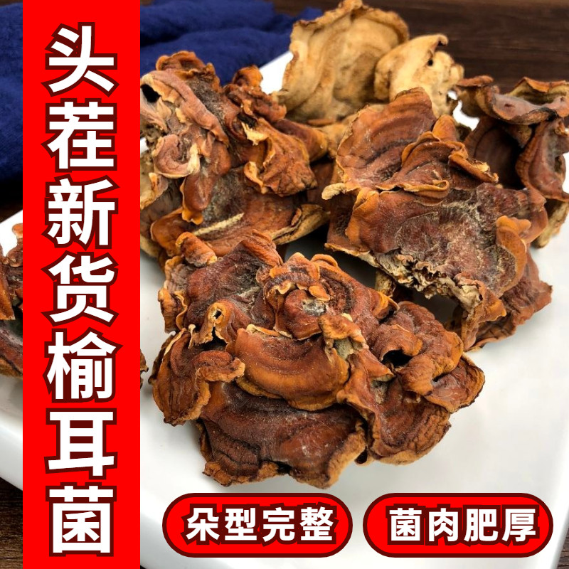 榆耳菌干货500g榆耳菇素食菌菇肉厚食用菌榆树蘑榆黄蘑沙木耳侧耳