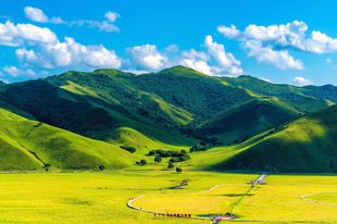 FJ01150好寓意靠山大山蓝天白云蒙古草原风景无水森林背景墙壁画