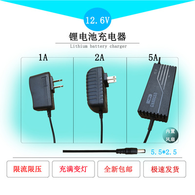 13.2v锂电池充电器12.6V5A1A5A12V电瓶充电机三元锂40A通用充电线