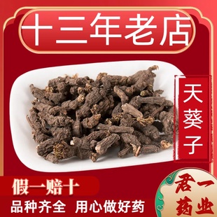 13年老店天葵子中药材天葵草屎水洗天葵子千年老鼠紫背天葵子