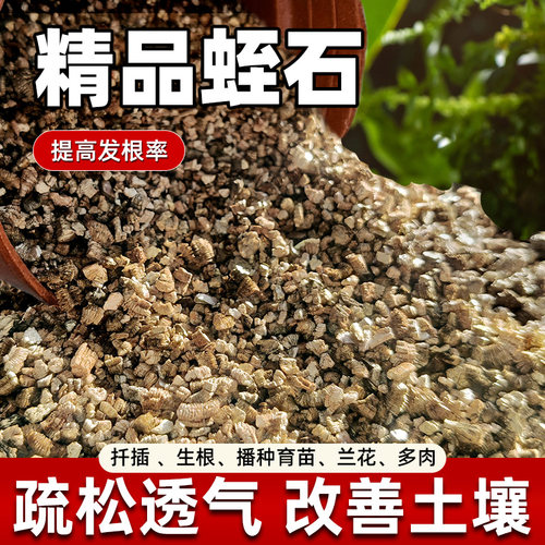 蛭石颗粒状珍珠岩发根扦插育苗