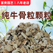 骨粉牛骨颗粒促开花长效园艺有机肥兰花君子兰月季 石斛铁线莲专用