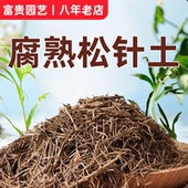 兰花松针土橡树叶腐叶腐熟松针多肉君子兰专用天然营养腐殖土花土