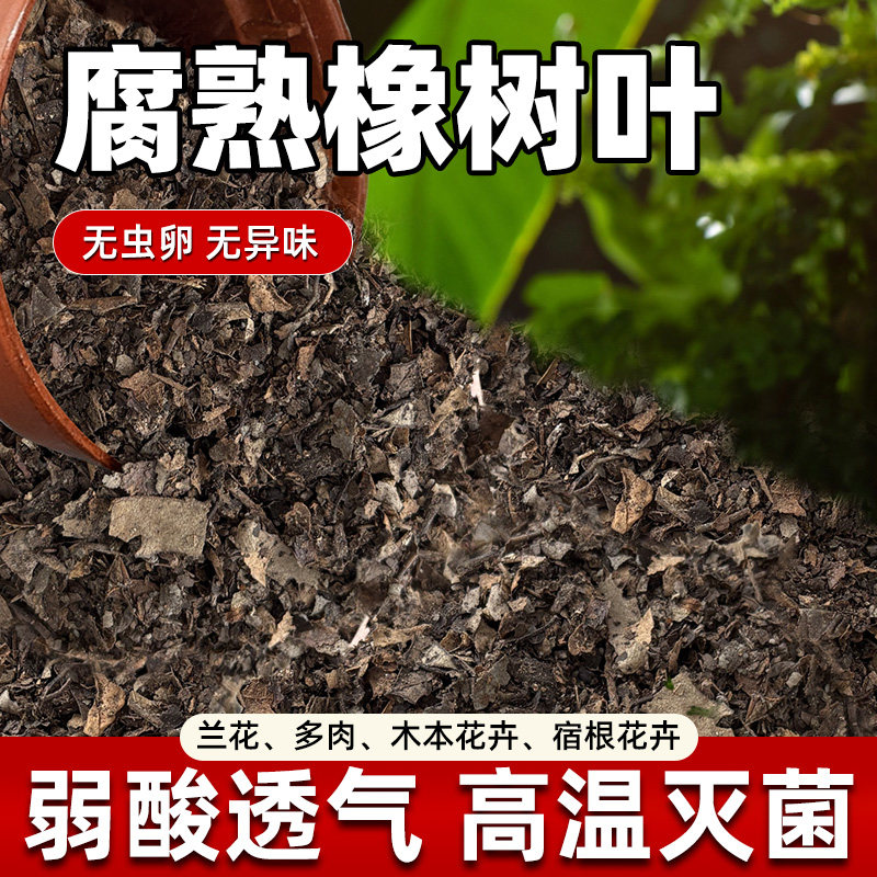 天然纯橡树叶腐熟君子兰专用有机腐叶土腐熟纯松针兰花专用营养土图片