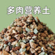 全颗粒土虹彩石多肉植物铺面种植彩虹石麦饭蛭石火山岩兰花营养土